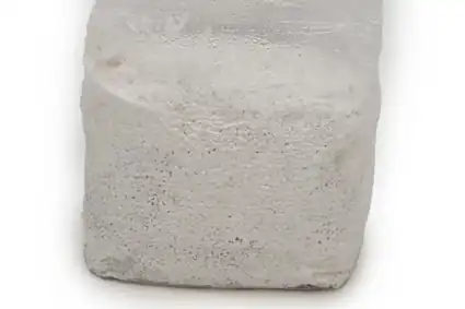 Organic Blue Oyster Grain Spawn for Home Mushroom Growers