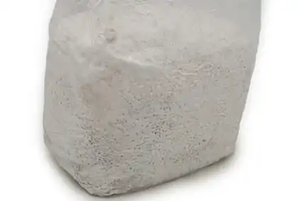 3lb Bag of Organic Blue Oyster Grain Spawn