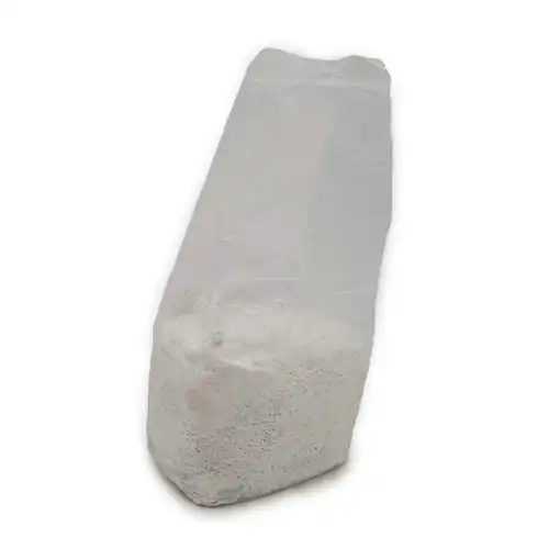 3lb Bag of Organic Blue Oyster Grain Spawn