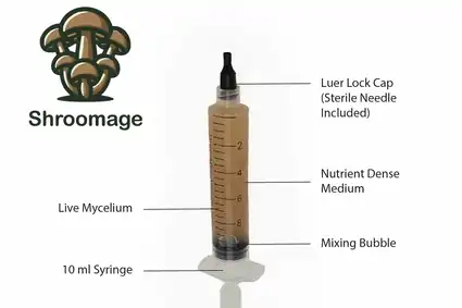 Vigorous Blue Oyster Mycelium in Liquid Culture Syringe