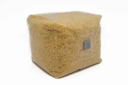 Mushroom Grain Substrate Pictured at Slight Angle