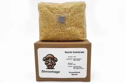 Sterilized Millet On Its Shipping Box